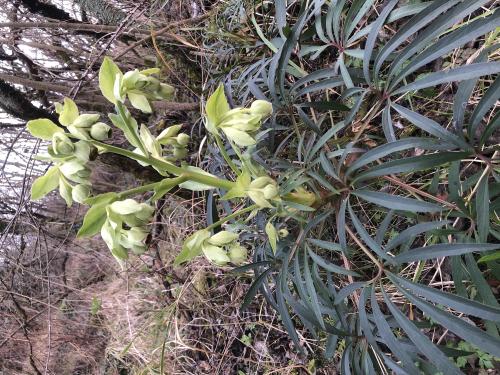 Tour de Courcourt [12-02-2022](IMG_4308).jpg